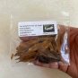Two-wing Silverbell Halesia diptera 10 Seeds