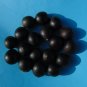 Florida Soapberry Sapindus marginatus 10 Seeds