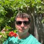 Trumpet Vine Campsis radicans 100 Seeds