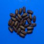 Pygmy Date Palm Phoenix roebelenii 100 Seeds