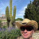 Saguaro Cactus 25 Seeds Carnegiea gigantea Saguaro Cactus 25 Seeds Carnegiea gigantea