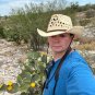 Texas Prickly Pear Opuntia engelmannii 25 Seeds