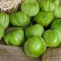 Tomatillo Husk Tomato Physalis philadelphica 20 Seeds