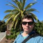 Canary Island Date Palm Phoenix canariensis 100 Seeds
