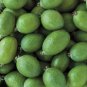 Pineapple Guava 50 Seeds Feijoa sellowiana