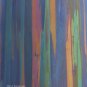 Rainbow Eucalyptus Eucalyptus deglupta 100 Seeds