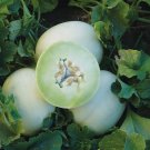 Honeydew Melon Cucumis melo 100 Seeds