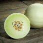 Honeydew Melon Cucumis melo 100 Seeds