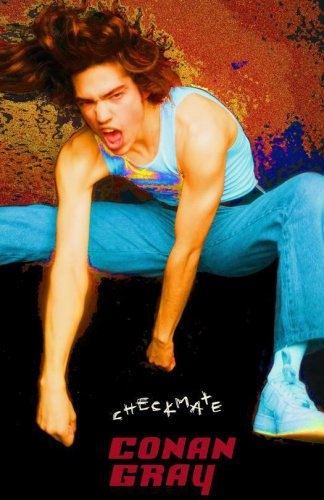 Conan Gray Poster Gray Checkmate Kid Krow 11 x 17 inches Ships SaMeDay From USA