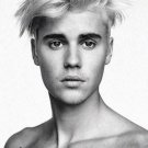 Justin Bieber Poster Promo 11 x 17 inches Gray Face Ships SameDay from USA