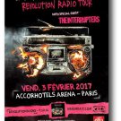Green Day Poster Revolution Radio Concert Tour GreenDay Paris 11 x 17 inches Shi
