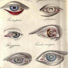 Traite Pratique sur les Maladies des Yeux, Contenant L'Anatomie, la Physologi Traite Pratique sur les Maladies des Yeux, Contenant L'Anatomie, la Physologi