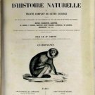 Encyclopedie D'histoire Naturelle - Ou, Traite Complet de Cette Science D'apr