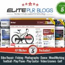 Instant Niche PLR WordPress Blogs – Volume #5 (10 Fully Loaded Blogs)