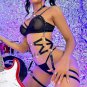 Passion Desire Lingerie Set