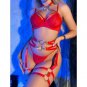 Passion Desire Lingerie Set