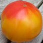 Virginia Sweets Tomato Certified Organic 10 Seeds