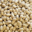 Navy Bean Seeds