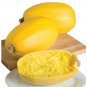 Spaghetti Winter Squash Seeds.