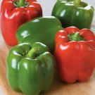 Keystone Giant Pepper Seeds Organic, Heirloom. 50 Seeds.