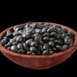 Black Turtle Bean Seeds Treated