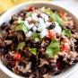 Black Turtle Bean Seeds Treated