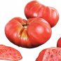Beefmaster Tomato 10 Seeds, Hybrid
