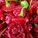 Aji Dulce Pepper Pepper Seeds 10 Seeds.