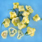 Aji Sparklng White Fantasy Pepper Seeds. 10 seeds.