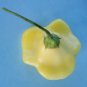Aji Sparklng White Fantasy Pepper Seeds. 10 seeds.