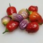 Aji Ayuyo Pepper Seeds. You will receive 10 seeds.