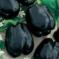 RARE Merlot F1 Sweet Pepper Seeds. Untreated. "10" Seeds