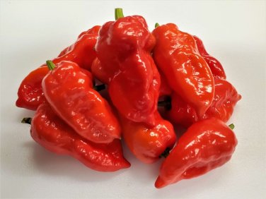 Piranha Red Hot Pepper Seeds. 10 Seeds per order