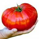 Beefsteak Heirloom Tomato Seeds. 10 Seeds