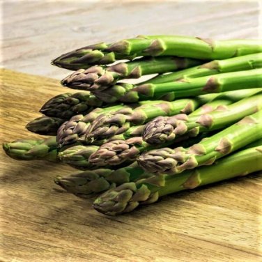 Mary Washington Asparagus Seeds 1/16oz Approx 50 Seeds