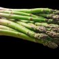 Mary Washington Asparagus Seeds 1/16oz Approx 50 Seeds