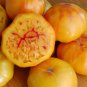 Gold Medal Tomato Seeds. 15 Seeds