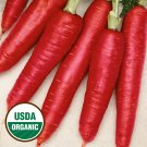 Atomic Red Carrot Seeds Organic