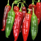 Big Jim Hot Pepper Seeds. 10 Seeds