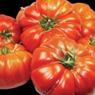 Red Brandywine Tomato Organic, Heirloom. 10 Seeds.