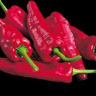 Giant Red Marconi Sweet Pepper Seeds. Ten (10) Untreated Seeds