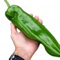 Giant Red Marconi Sweet Pepper Seeds. Ten (10) Untreated Seeds