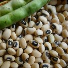 California Black eyed Peas Treated Seeds