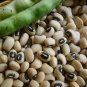 California Black eyed Peas Treated Seeds
