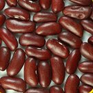 Dark Red Kidney Beans Untreated Seeds