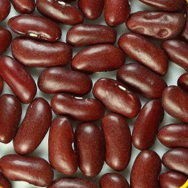 Dark Red Kidney Beans Untreated Seeds