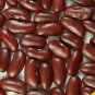 Dark Red Kidney Beans Untreated Seeds