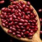 Dark Red Kidney Beans Untreated Seeds