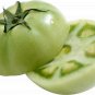 Fried Green Tomato Seeds F1, 10 Untreated Seeds
