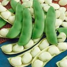 Henderson Bush Lima Bean Seeds Untreated